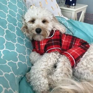 Plaid Dog Fleece Pajamas - Small - Red + Black